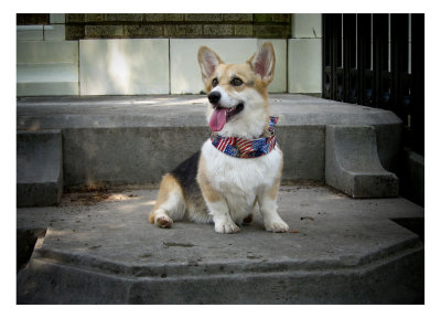 Punkin on the 4th