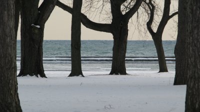 Winter - Toronto