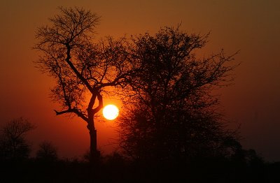 IMG_4602.JPG