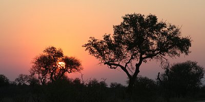 IMG_6295.JPG