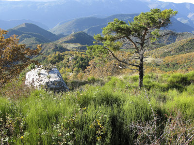 La cime de Colettes . 09.jpg