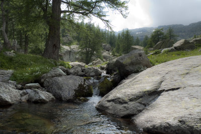 Le lac vert