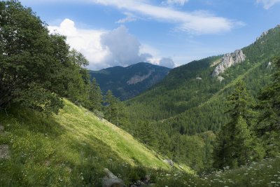 Le lac vert, valle des merveilles