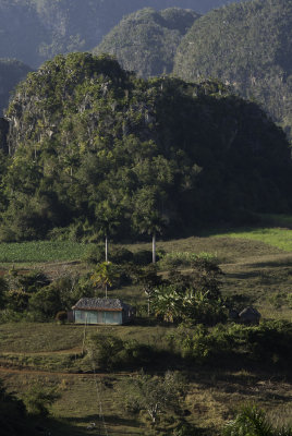 Rgion de Vinales, et culture du tabac