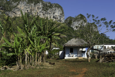 La campagne Cubaine
