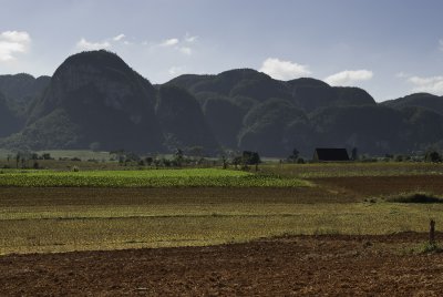Paysage de la rgion du tabac