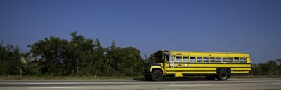 Bus scolaire , ou transport en commun ?