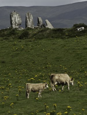 Dolmens de la rgion du Burren .