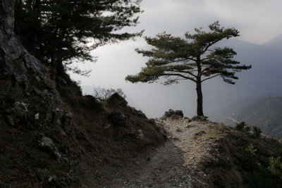 Sur le chemin du retour