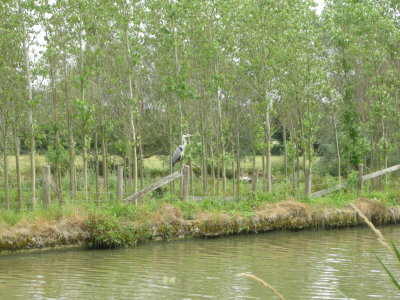 DSCN0999.JPG