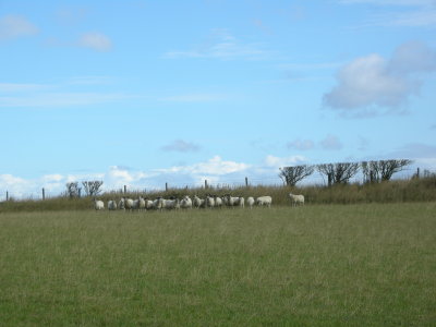 DSCN1052.JPG