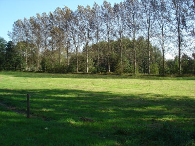 Field at Dutch-Belgian border