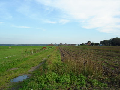 g1/68/719968/3/129319117.KcUBSlFi.jpg