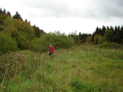At Buckholtz Station.  Almost all overgrown now