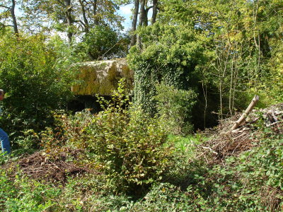 DSC02886.JPG