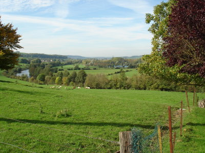 DSC02890.JPG