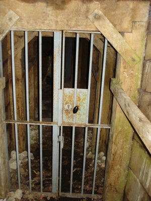 DSC02955.JPG