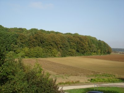 DSC03036.JPG
