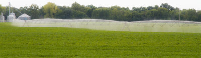 Irrigating the Field
