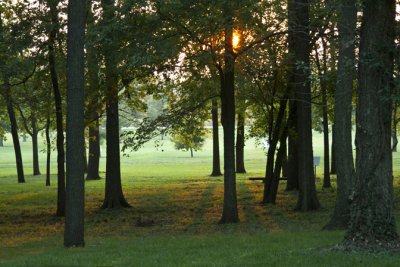 The Nauvoo Grove at Sunset