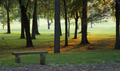 Nauvoo Grove: Come, Sit, Rest