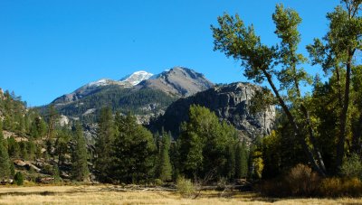 DSC_0130.JPG