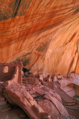 DSC_0502.JPG