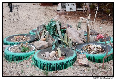 Cactus garden at Slab City