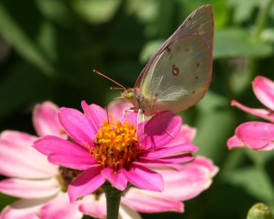 IMG_1969_crop2.jpg