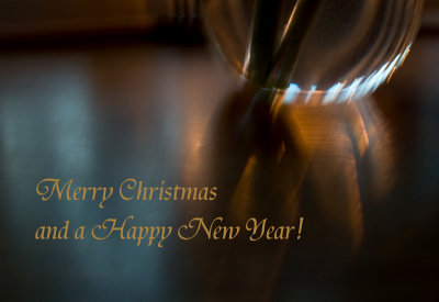 I wish you all a Merry Christmas and a peaceful 2009 : )