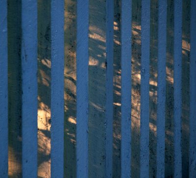 Fence and shadows