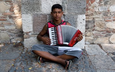 The accordionist