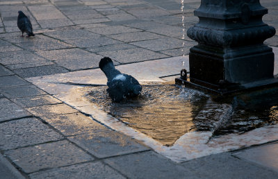 Having a bath