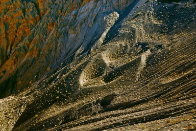 _DSC8577 South Slope of Ubehebe Crater_DV.jpg
