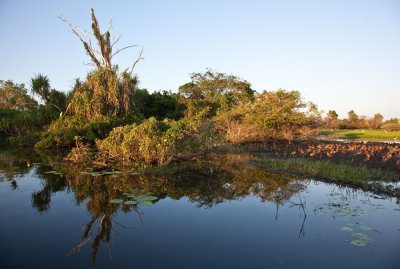 kakadu gallery