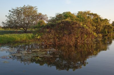 g1/68/823768/3/128627118.lZyom5e3.jpg