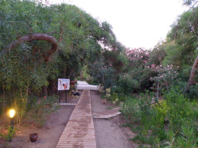 P7280072.jpg