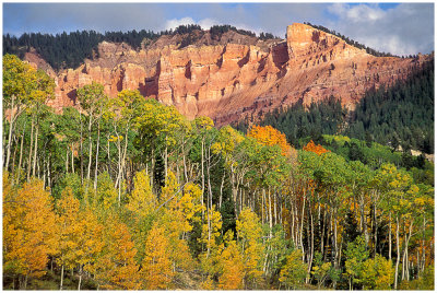 Cedar Breaks .jpg