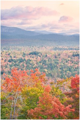 W.VA. autumn hillside.jpg