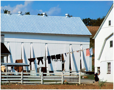 Washday Lancaster PA.jpg