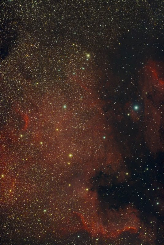 NGC 7000 - Severna Amerika