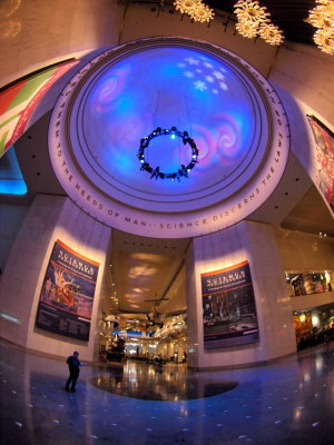 Museum of Science & Industry