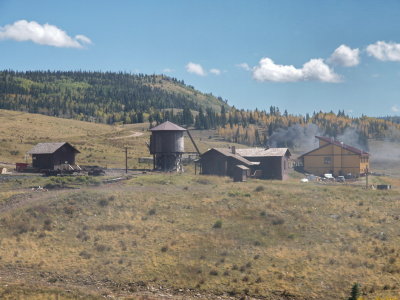 Osier from a distance