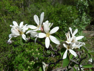 g1/68/923768/3/126884355.prdEauAI.jpg