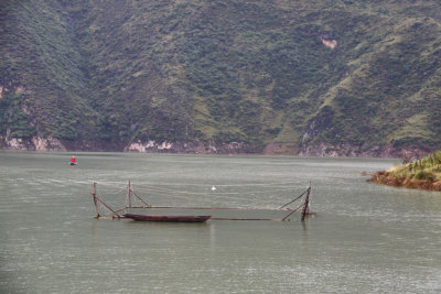 g1/68/971468/3/130656642.VL0GngK8.jpg