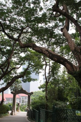 HK Botanical and Zoological Gardens