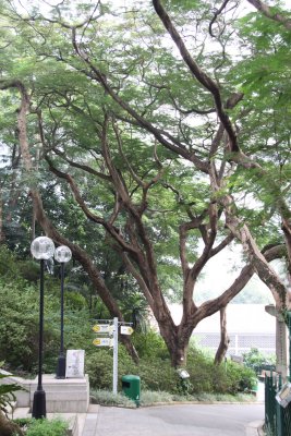 HK Botanical and Zoological Gardens