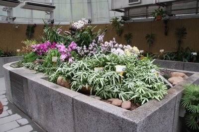 HK Botanical and Zoological Gardens