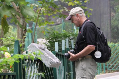 HK Botanical and Zoological Gardens