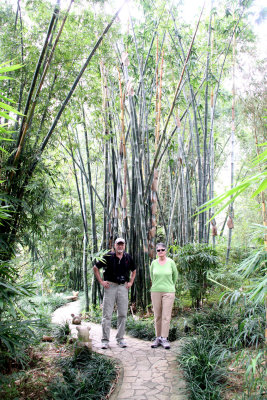 HK Botanical and Zoological Gardens